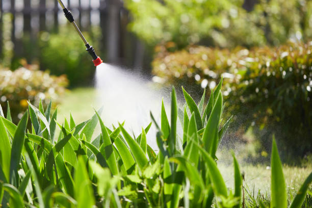 24/7 Emergency Wasp Removal experts in South Cleveland, TN
