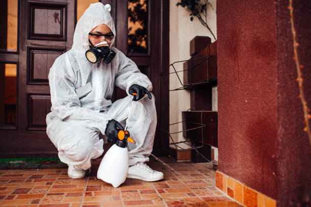 Reliable Wasp Removal contractor in South Cleveland, TN by Show Me Pest Control